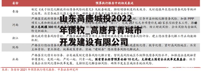 山东高唐城投2022年债权_高唐丹青城市开发建设有限公司