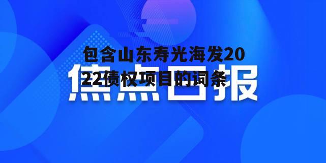 包含山东寿光海发2022债权项目的词条