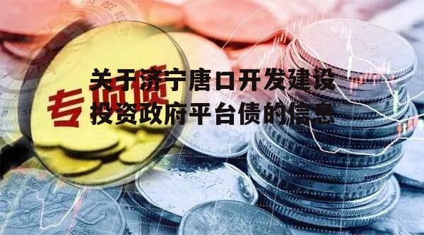 关于济宁唐口开发建设投资政府平台债的信息