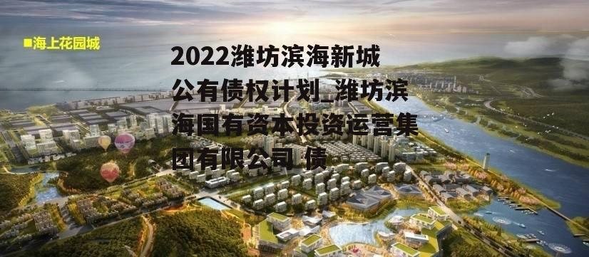 2022潍坊滨海新城公有债权计划_潍坊滨海国有资本投资运营集团有限公司 债