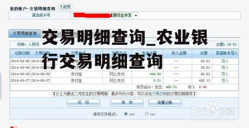 交易明细查询_农业银行交易明细查询