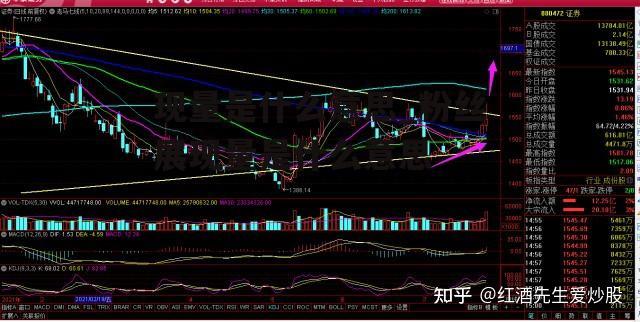 现量是什么意思_粉丝展现量是什么意思