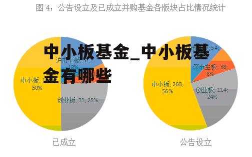 中小板基金_中小板基金有哪些