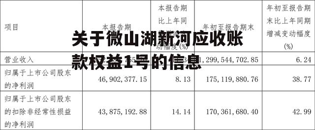 关于微山湖新河应收账款权益1号的信息