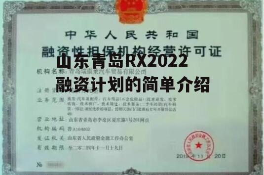 山东青岛RX2022融资计划的简单介绍