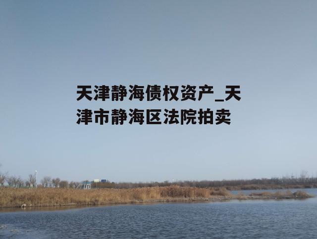 天津静海债权资产_天津市静海区法院拍卖