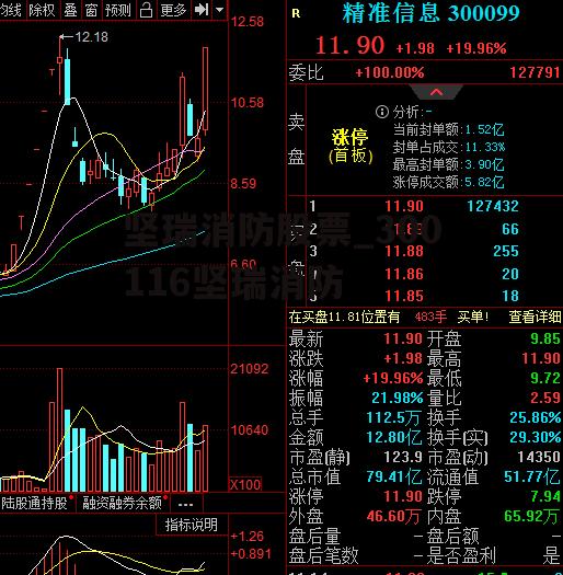 坚瑞消防股票_300116坚瑞消防