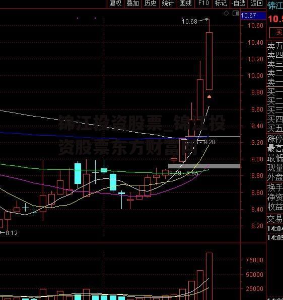 锦江投资股票_锦江投资股票东方财富网
