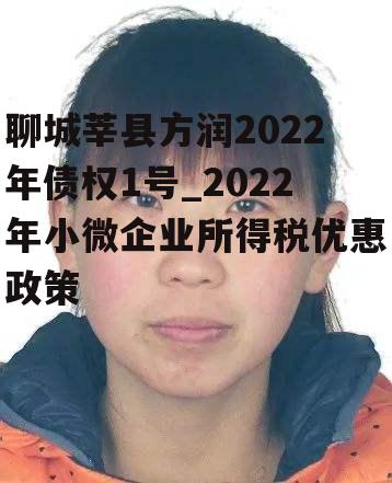 聊城莘县方润2022年债权1号_2022年小微企业所得税优惠政策