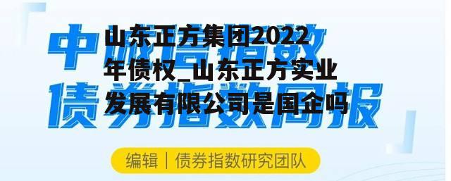 山东正方集团2022年债权_山东正方实业发展有限公司是国企吗