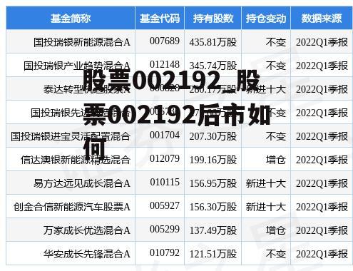 股票002192_股票002192后市如何