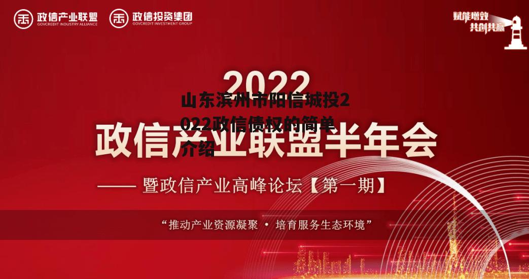 山东滨州市阳信城投2022政信债权的简单介绍