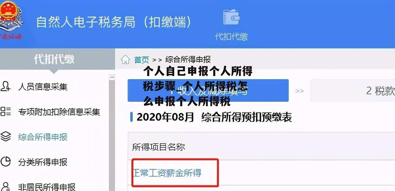 个人自己申报个人所得税步骤_个人所得税怎么申报个人所得税