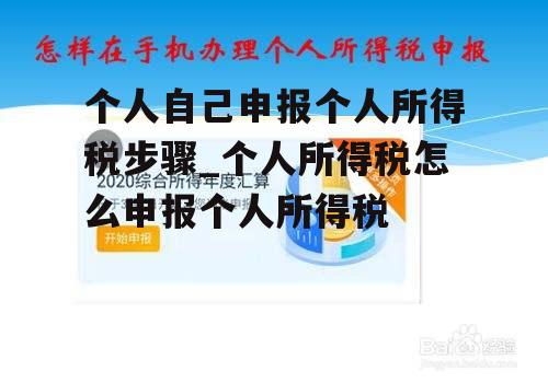 个人自己申报个人所得税步骤_个人所得税怎么申报个人所得税