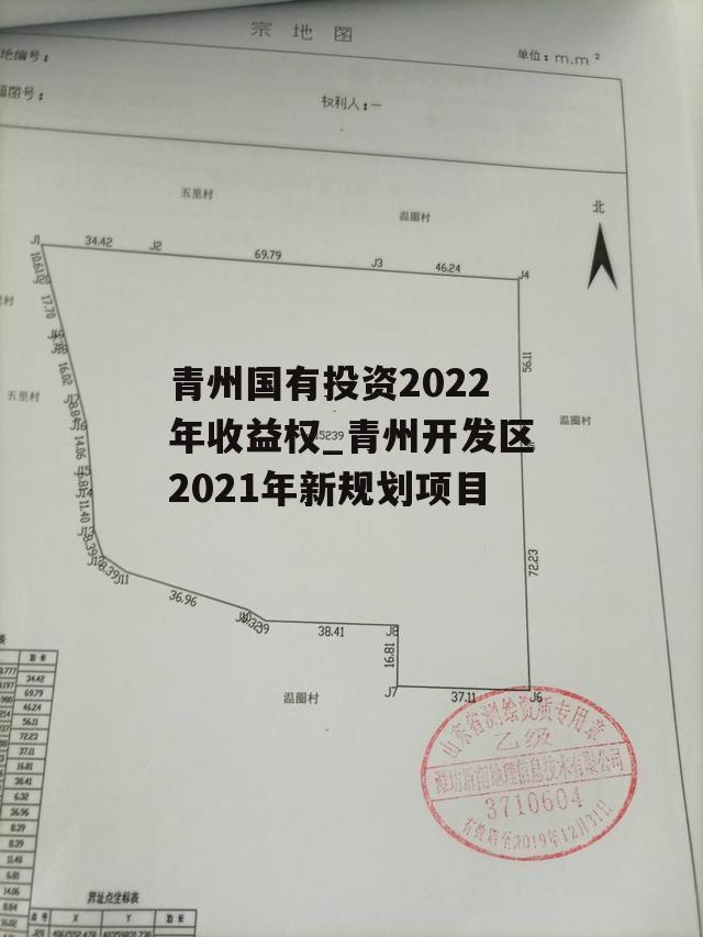 青州国有投资2022年收益权_青州开发区2021年新规划项目