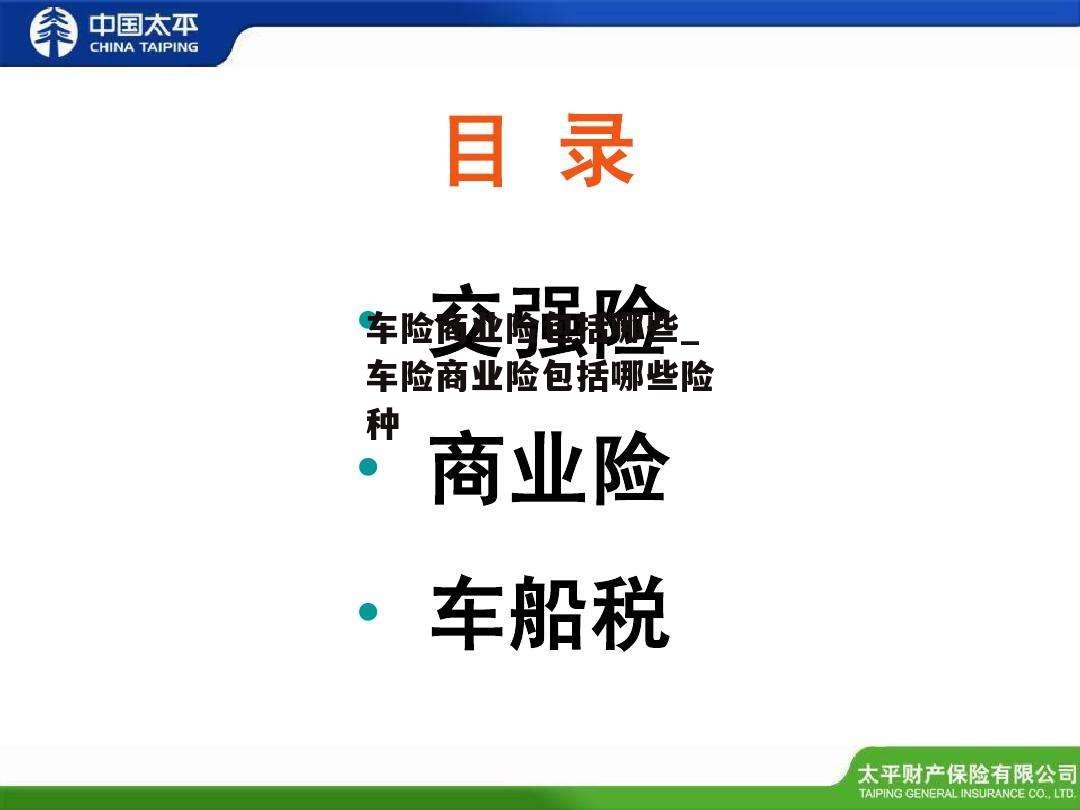 车险商业险包括哪些_车险商业险包括哪些险种