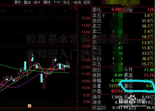 股票基本常识_股票基本知识入门的书