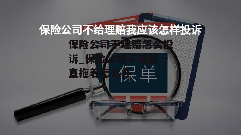 保险公司不理赔怎么投诉_保险公司不理赔一直拖着怎么办