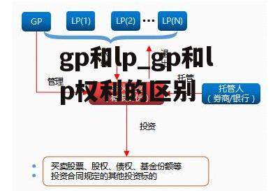 gp和lp_gp和lp权利的区别