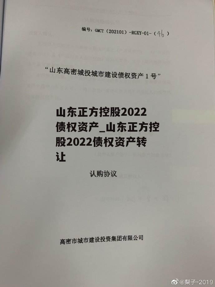 山东正方控股2022债权资产_山东正方控股2022债权资产转让