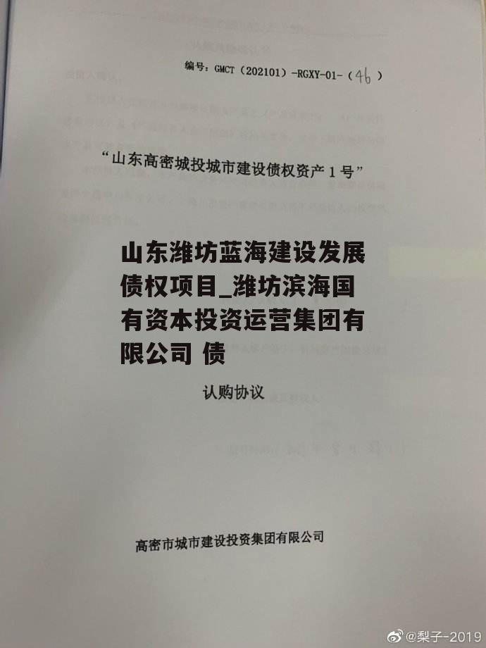 山东潍坊蓝海建设发展债权项目_潍坊滨海国有资本投资运营集团有限公司 债