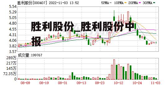 胜利股份_胜利股份中报