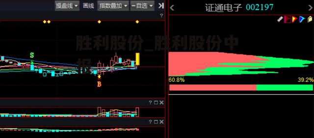 胜利股份_胜利股份中报