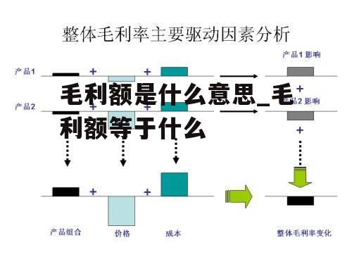 毛利额是什么意思_毛利额等于什么