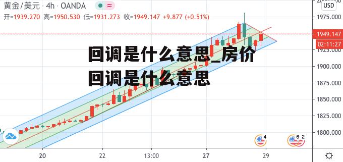 回调是什么意思_房价回调是什么意思