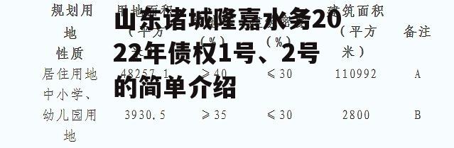 山东诸城隆嘉水务2022年债权1号、2号的简单介绍