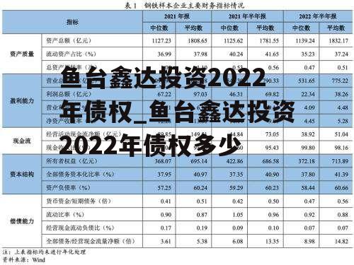 鱼台鑫达投资2022年债权_鱼台鑫达投资2022年债权多少