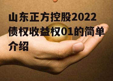 山东正方控股2022债权收益权01的简单介绍