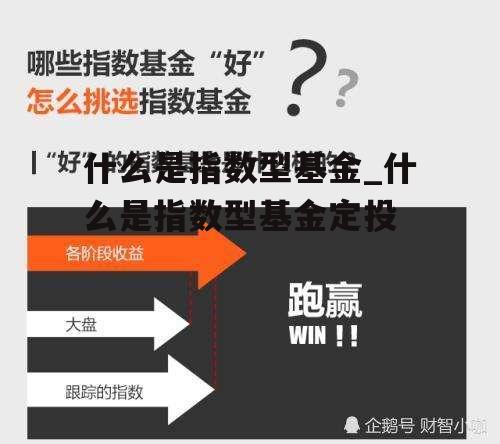 什么是指数型基金_什么是指数型基金定投