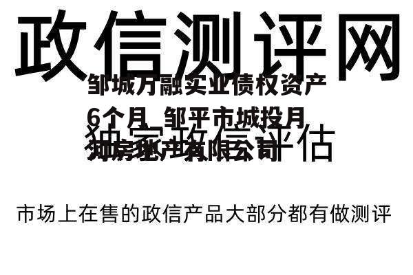 邹城万融实业债权资产6个月_邹平市城投月河房地产有限公司