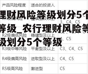 理财风险等级划分5个等级_农行理财风险等级划分5个等级