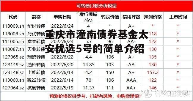 重庆市潼南债券基金太安优选5号的简单介绍