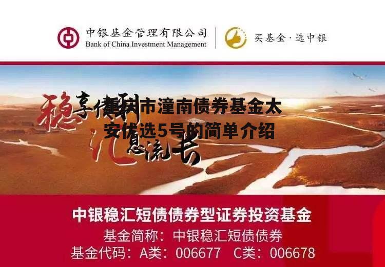 重庆市潼南债券基金太安优选5号的简单介绍