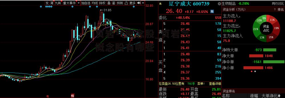 页岩气概念股_页岩气概念股有哪些