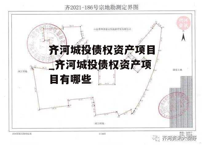 齐河城投债权资产项目_齐河城投债权资产项目有哪些