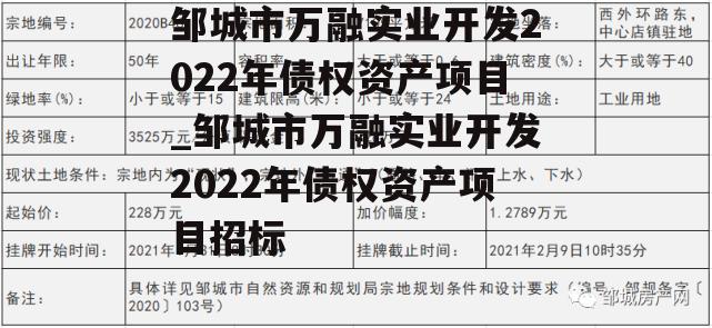 邹城市万融实业开发2022年债权资产项目_邹城市万融实业开发2022年债权资产项目招标