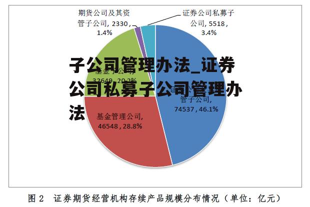 子公司管理办法_证券公司私募子公司管理办法