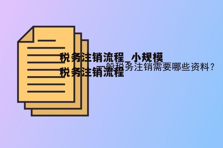 税务注销流程_小规模税务注销流程