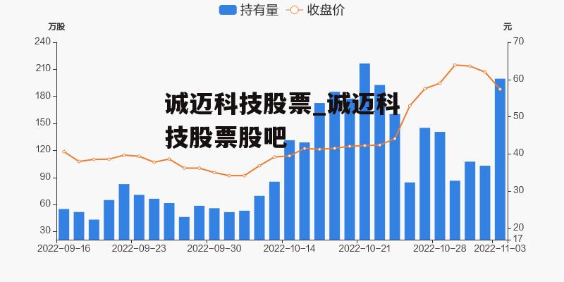 诚迈科技股票_诚迈科技股票股吧