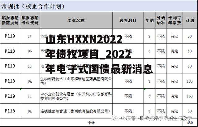 山东HXXN2022年债权项目_2022年电子式国债最新消息