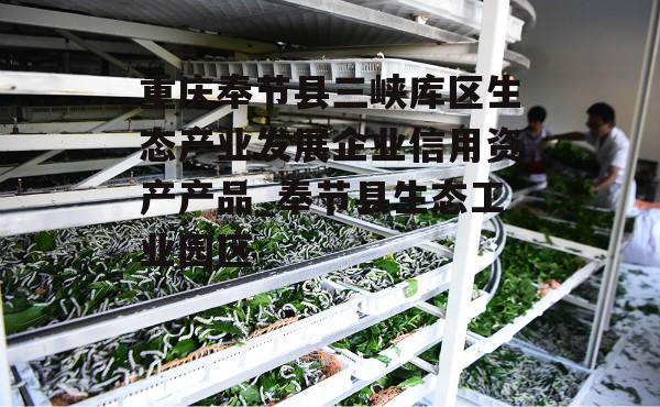 重庆奉节县三峡库区生态产业发展企业信用资产产品_奉节县生态工业园区