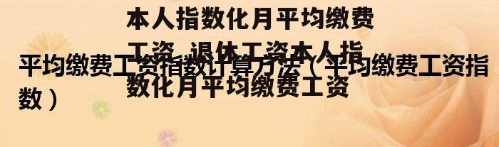 本人指数化月平均缴费工资_退休工资本人指数化月平均缴费工资