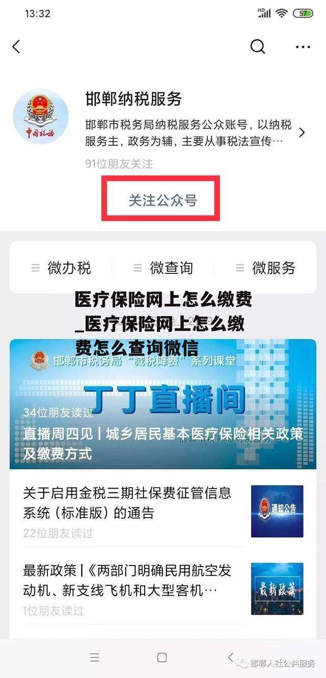 医疗保险网上怎么缴费_医疗保险网上怎么缴费怎么查询微信