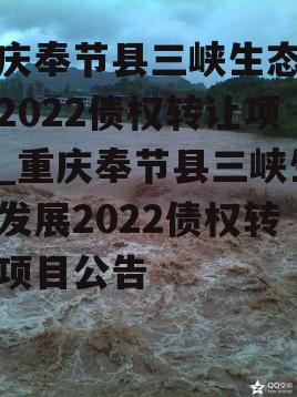 重庆奉节县三峡生态发展2022债权转让项目_重庆奉节县三峡生态发展2022债权转让项目公告