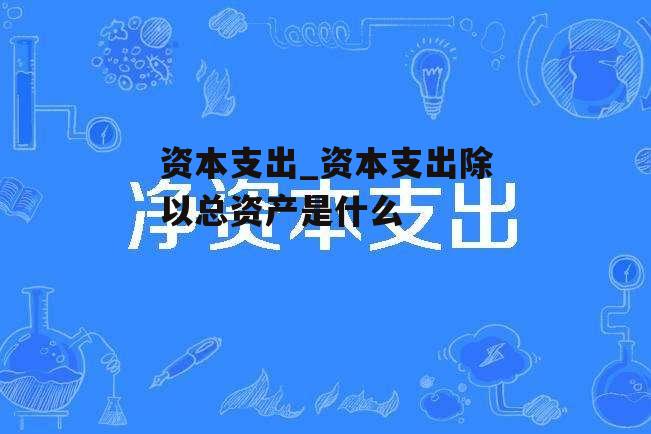 资本支出_资本支出除以总资产是什么