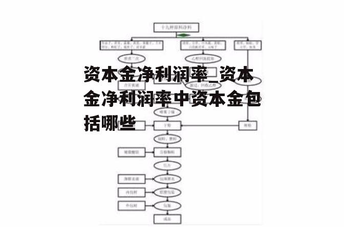 资本金净利润率_资本金净利润率中资本金包括哪些